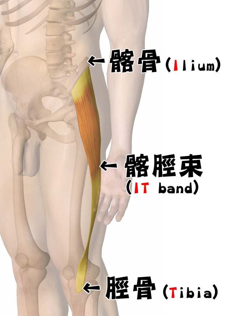 跑者膝_圖3.jpg