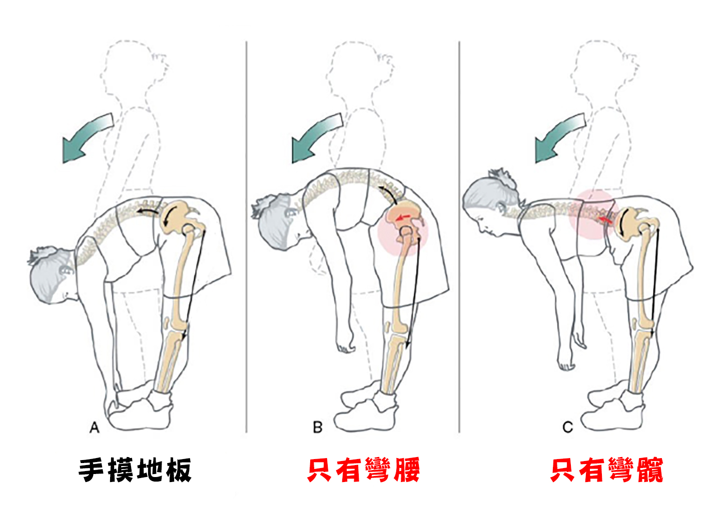 髖屈代替腰彎_圖4.jpg