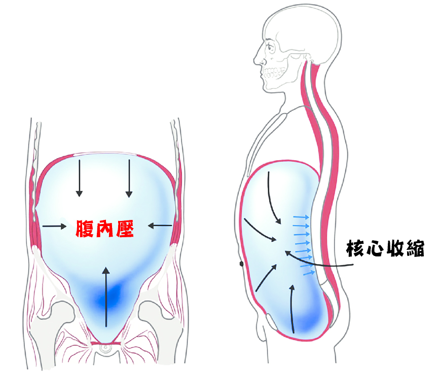 BCUT_圖11.jpg